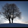 20080113_047